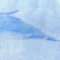 bleu-clair