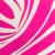 rose-fuchsia