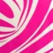 rose-fuchsia