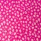 rose-fuchsia
