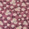 rose-poudree