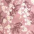 rose-poudree