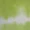 vert-anis