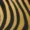 animalier-marron-noir