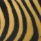 animalier-marron-noir